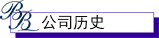公司历史
